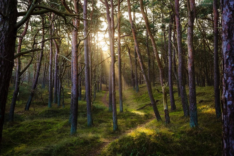 Natural Greenery