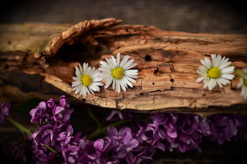 Wooden Decor for Forest Wedding